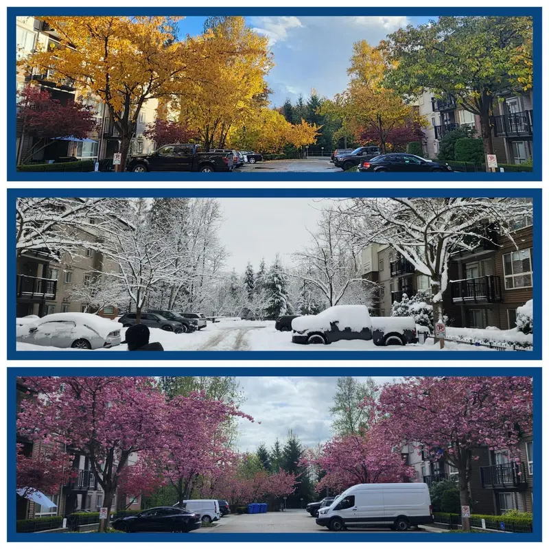 101 11665 HANEY BYPASS - photo 1 of 25